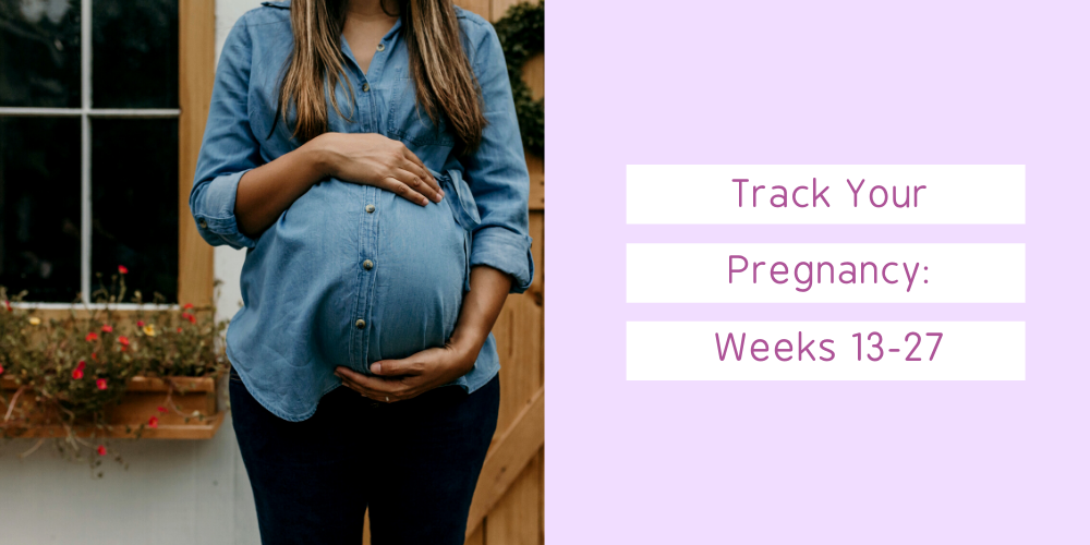 Second Trimester of Pregnancy 