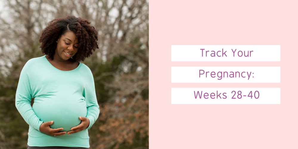 The 3rd Trimester: Your Guide To Weeks 28 To 40 Of Your, 52% OFF